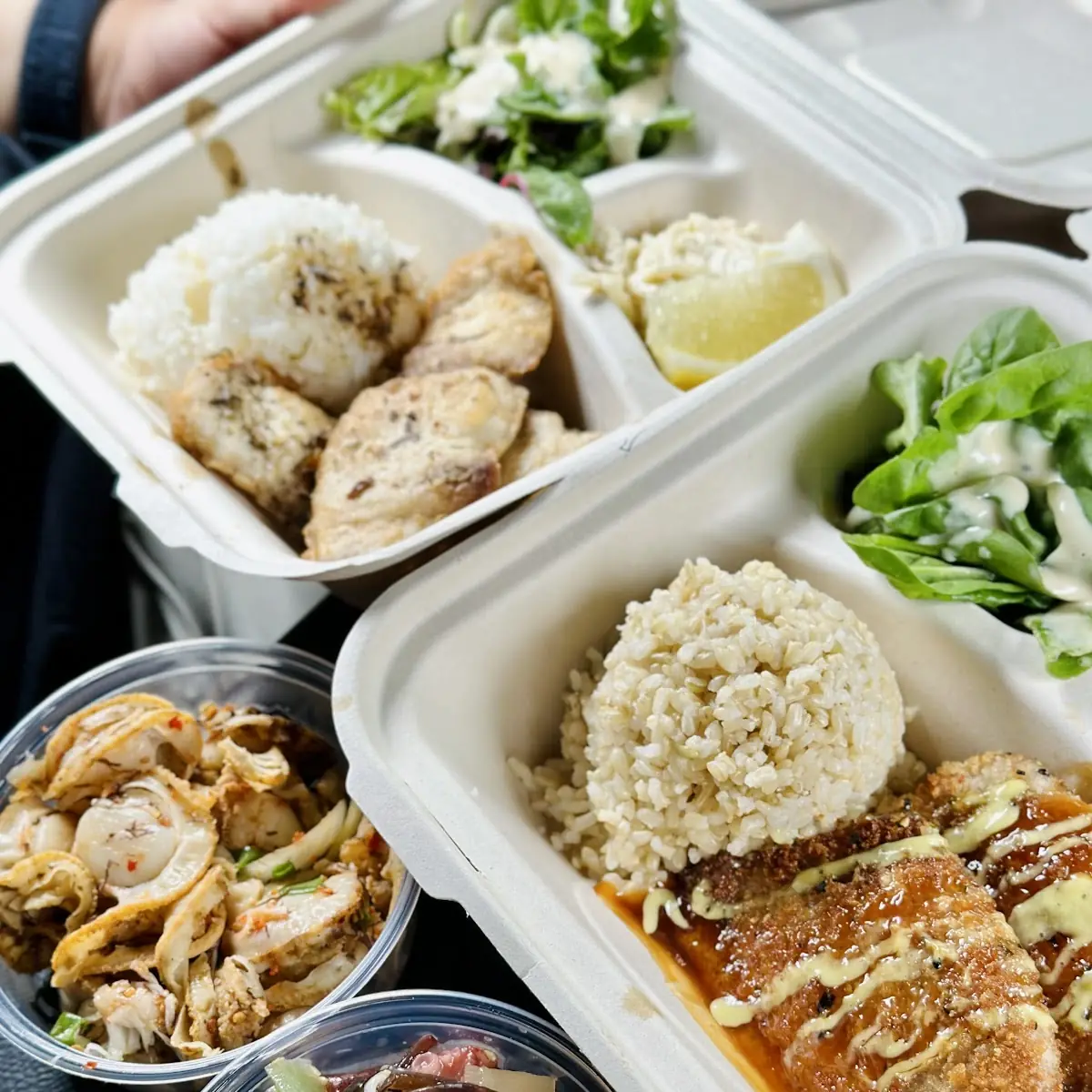 Katsu Ahi