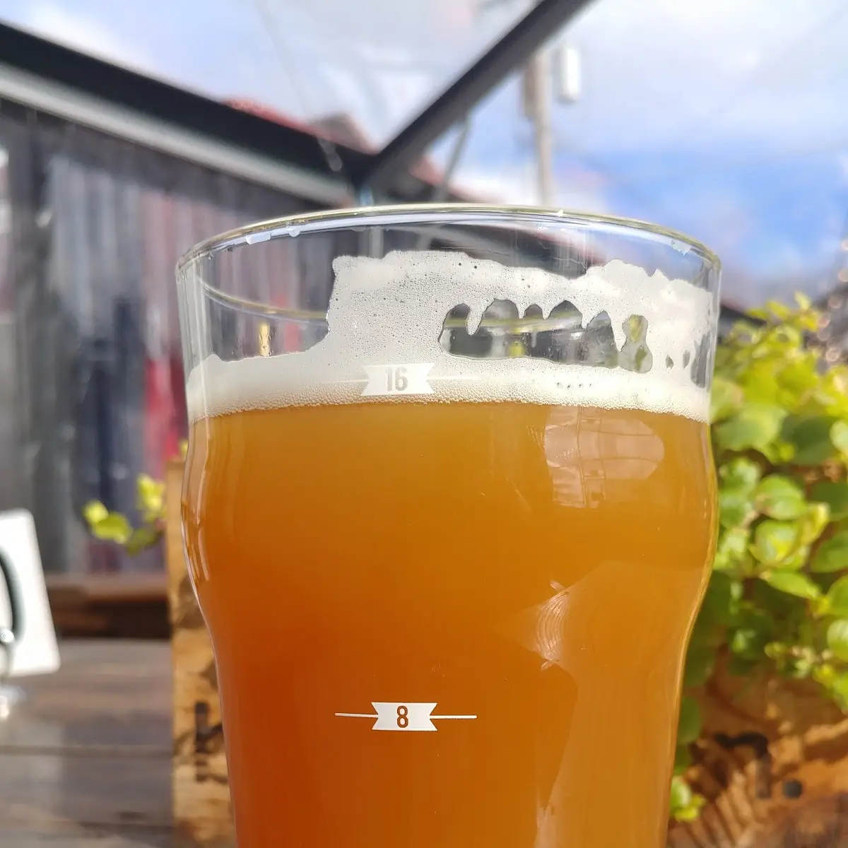 Knee Deep Man Juice