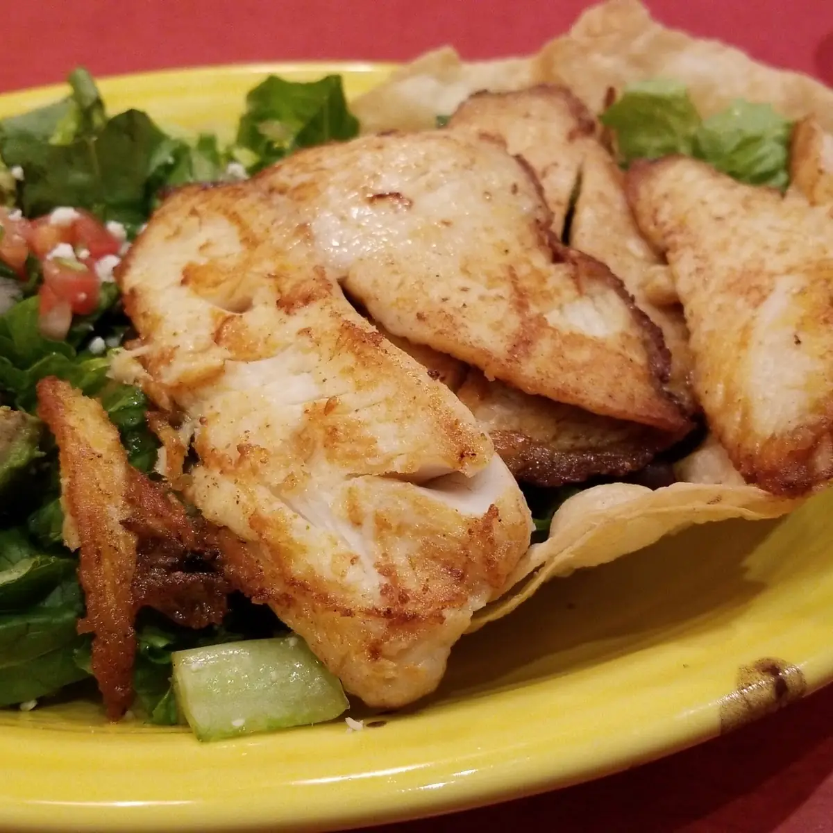 Grilled Chicken Taco Salad