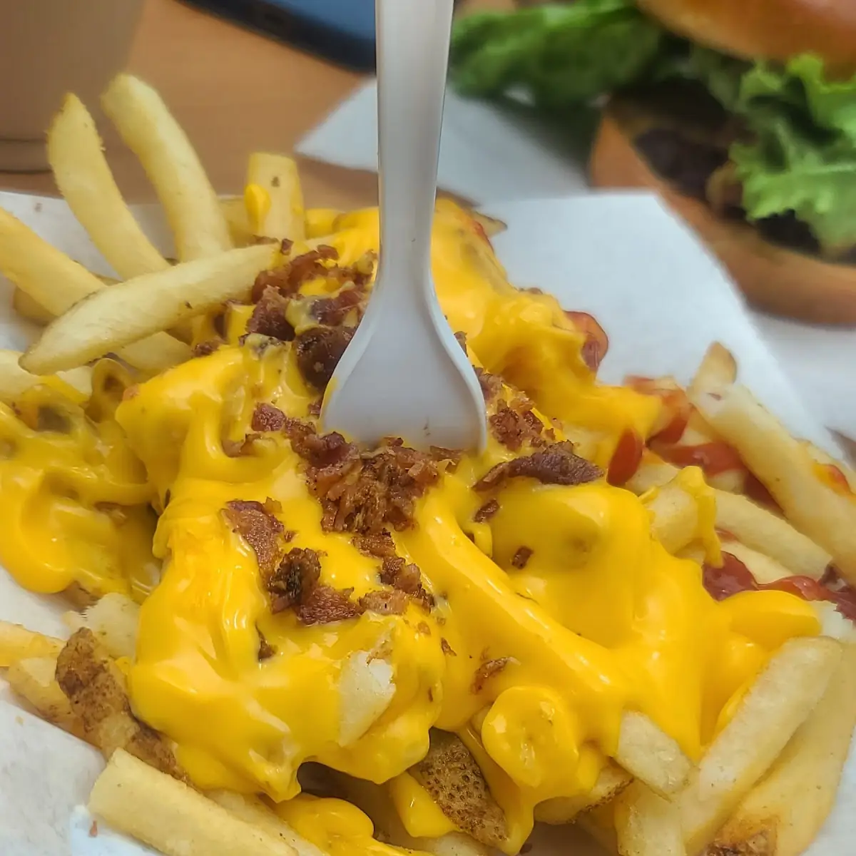 Bacon Cheese Fries