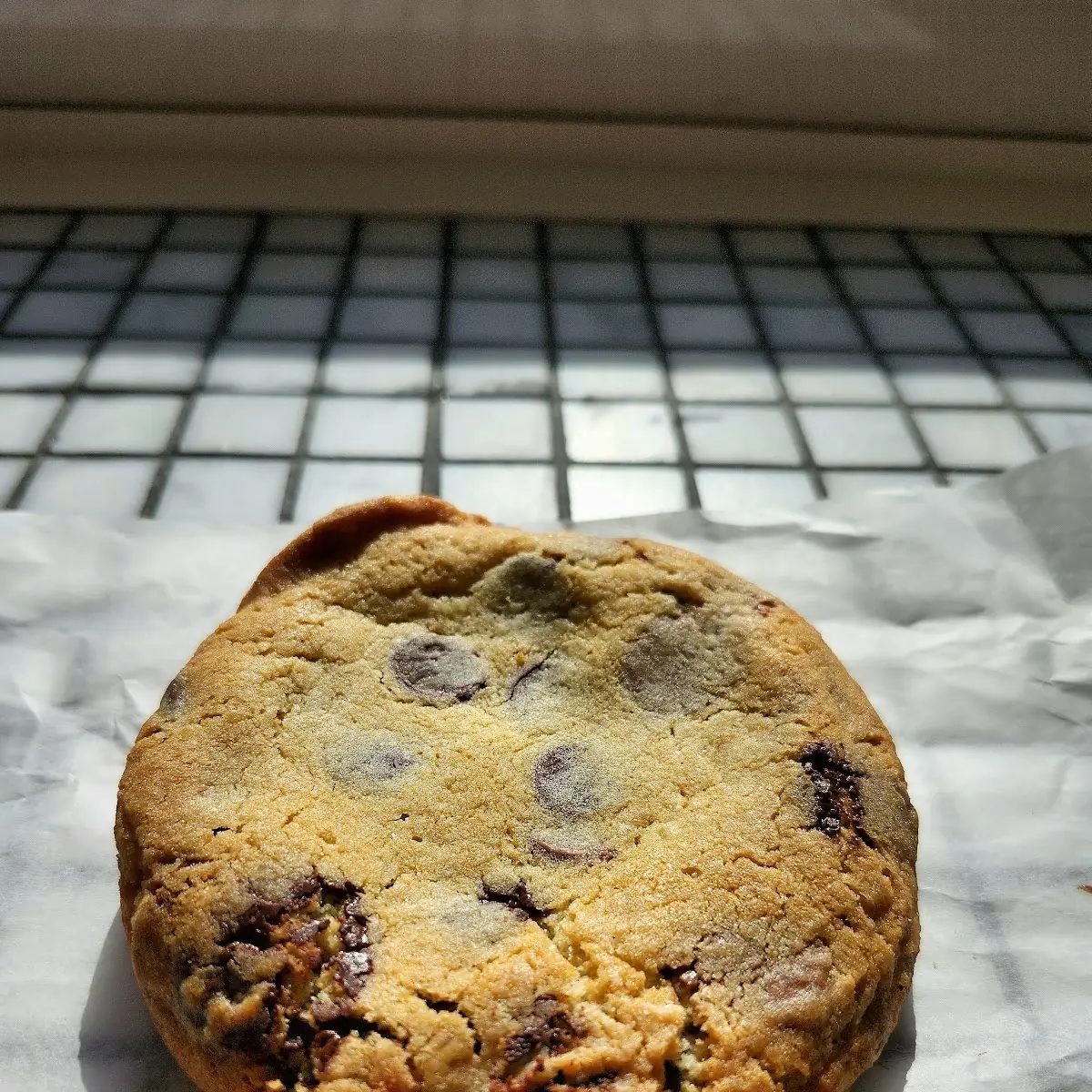 Chocolate Chip Cookie