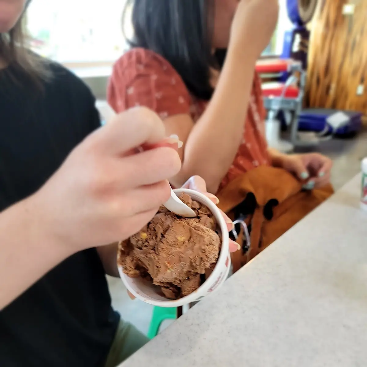 Hand Dipped Ice Cream