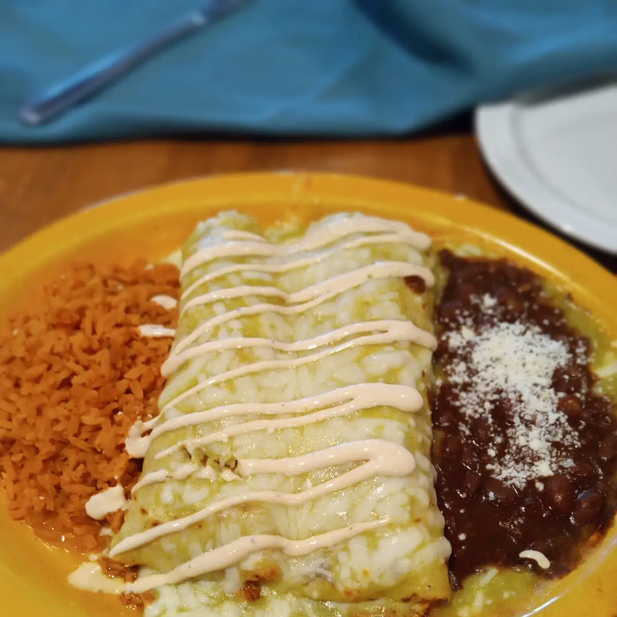 Beef Birria Enchiladas Green Enchiladas Verdes