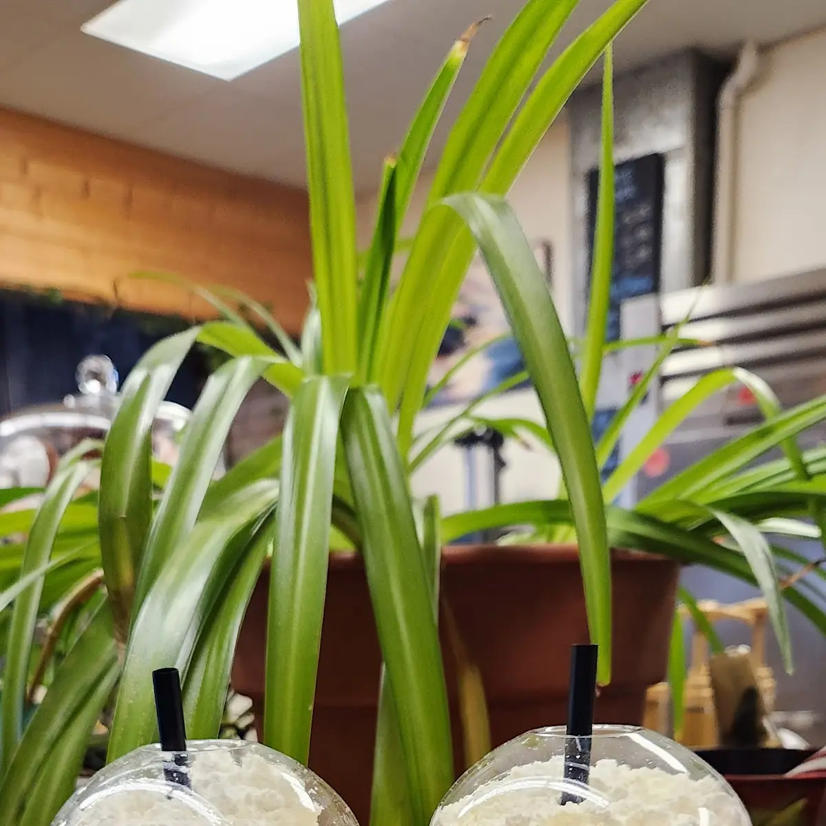Pumpkin Spice Blended Coffee Frappe