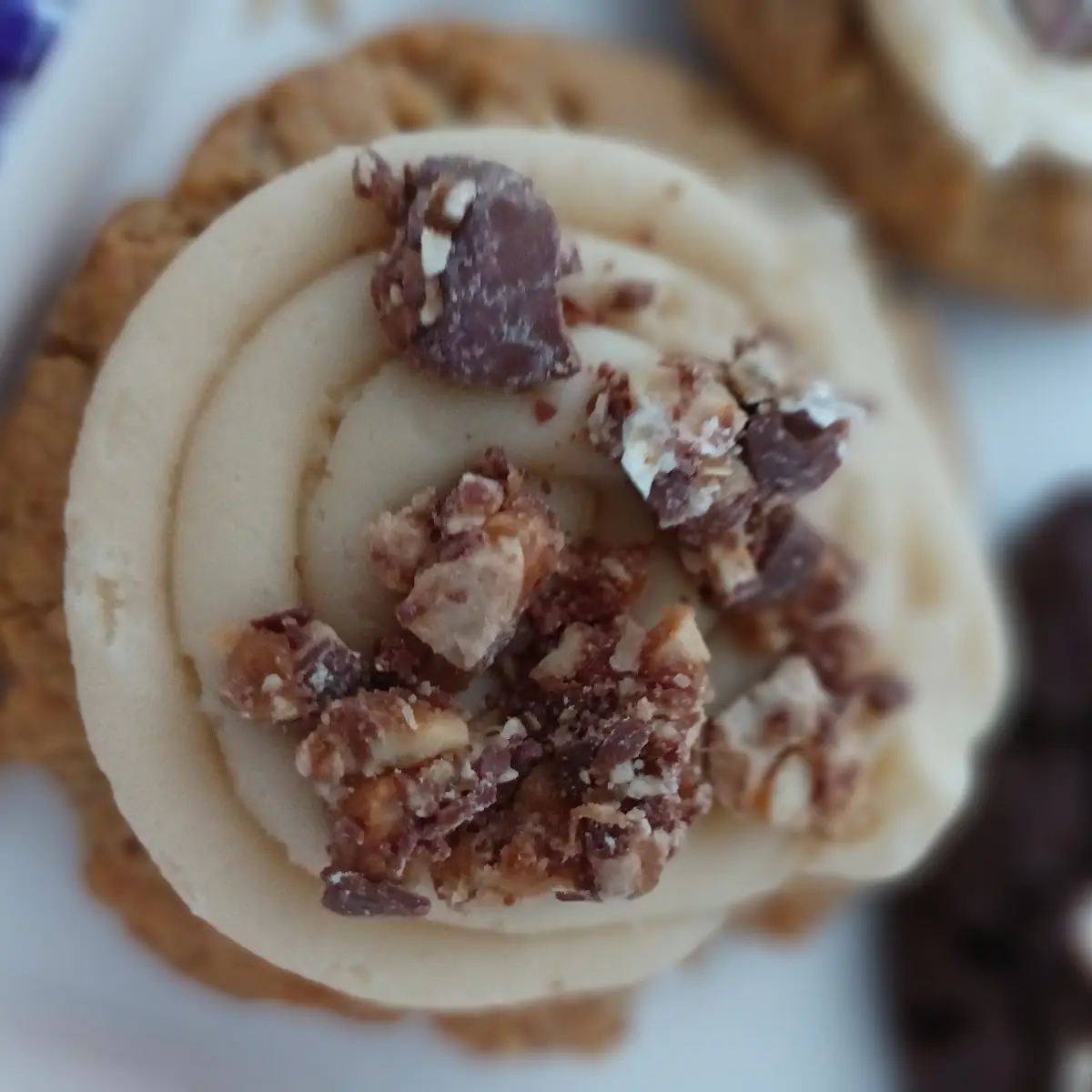 Peanut Butter Cookie