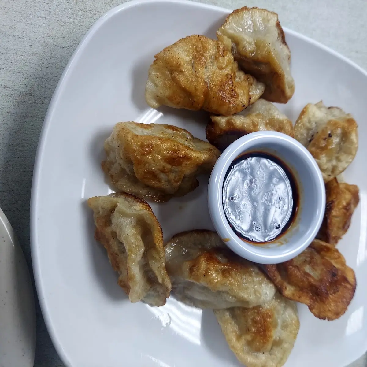 Pan-Fried Pork Dumplings 10pc
