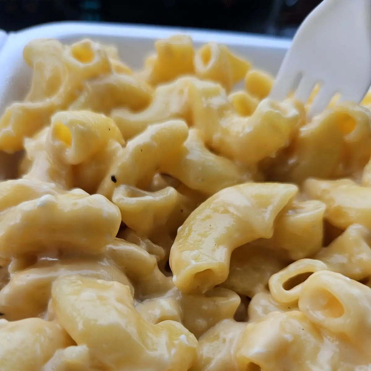 Mac & Cheese