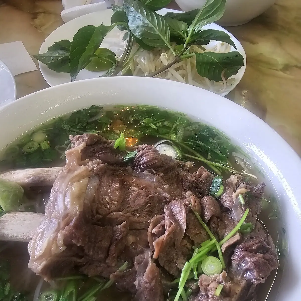 10 Short Ribs Pho