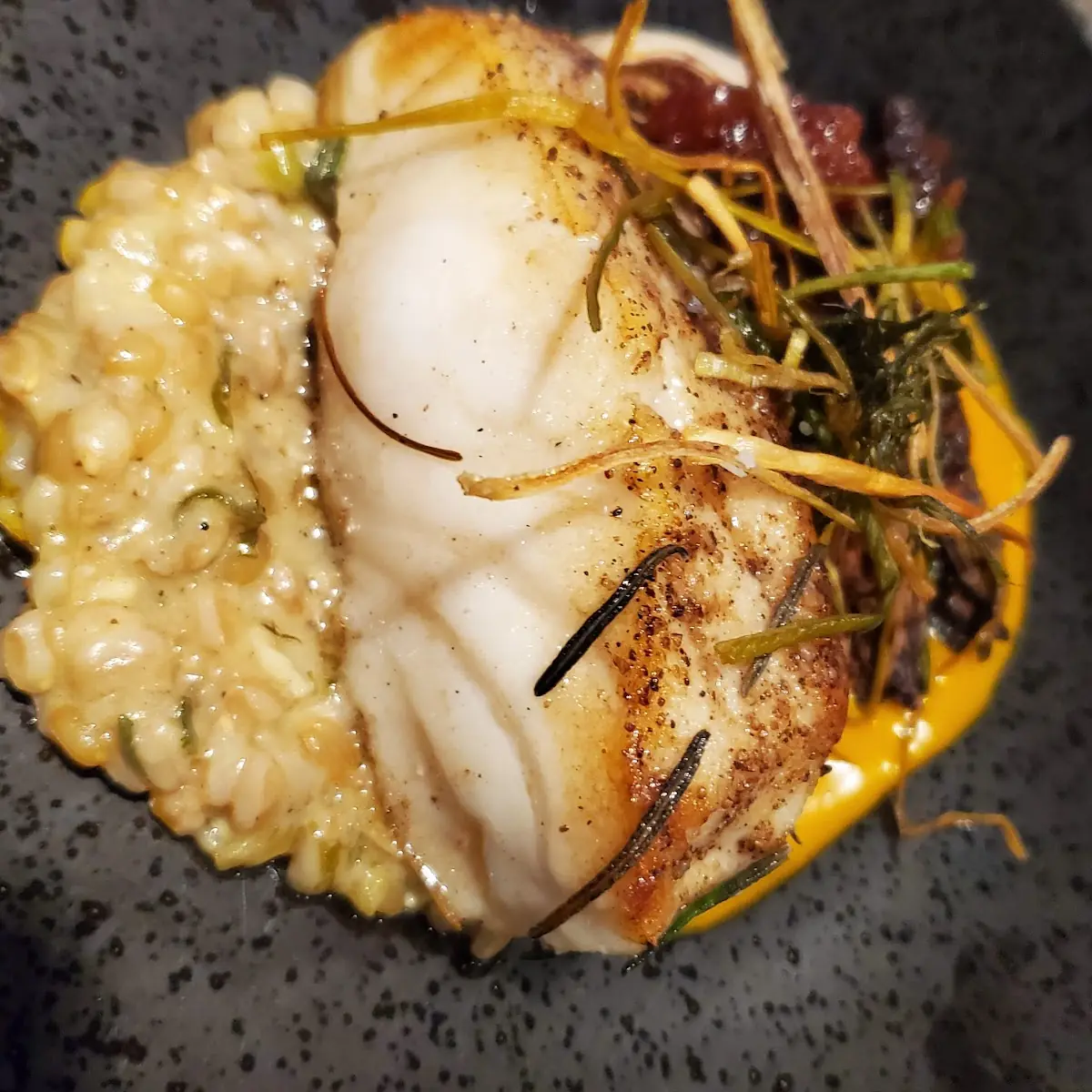 Sea Bass