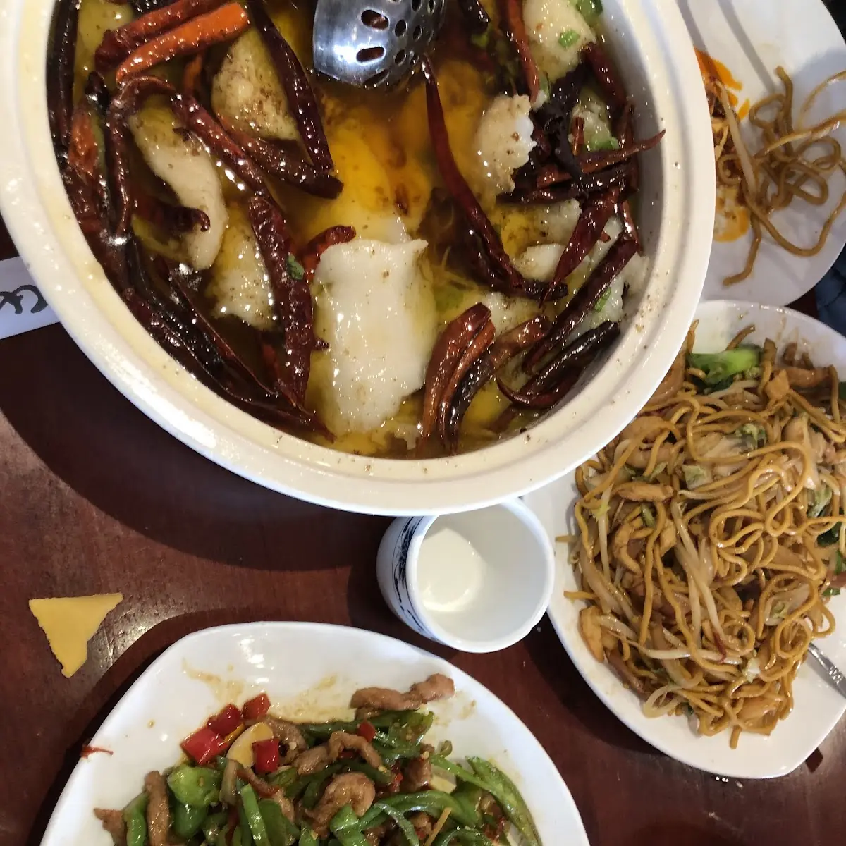 Mushroom Delight in Hot Pot