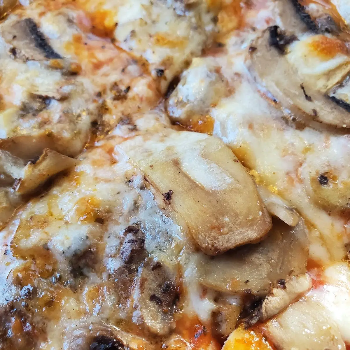 Mushroom Pizza