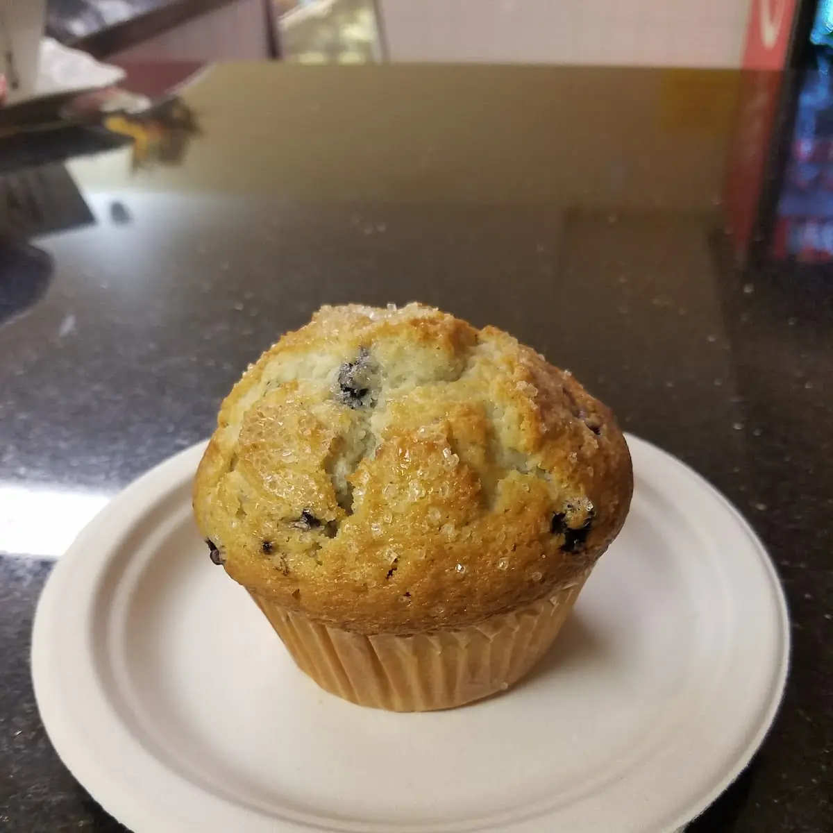 Blueberry Muffin
