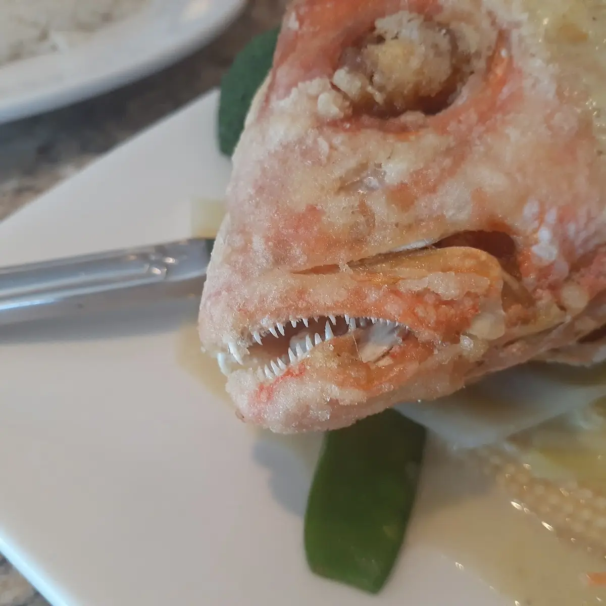Red Snapper Tai
