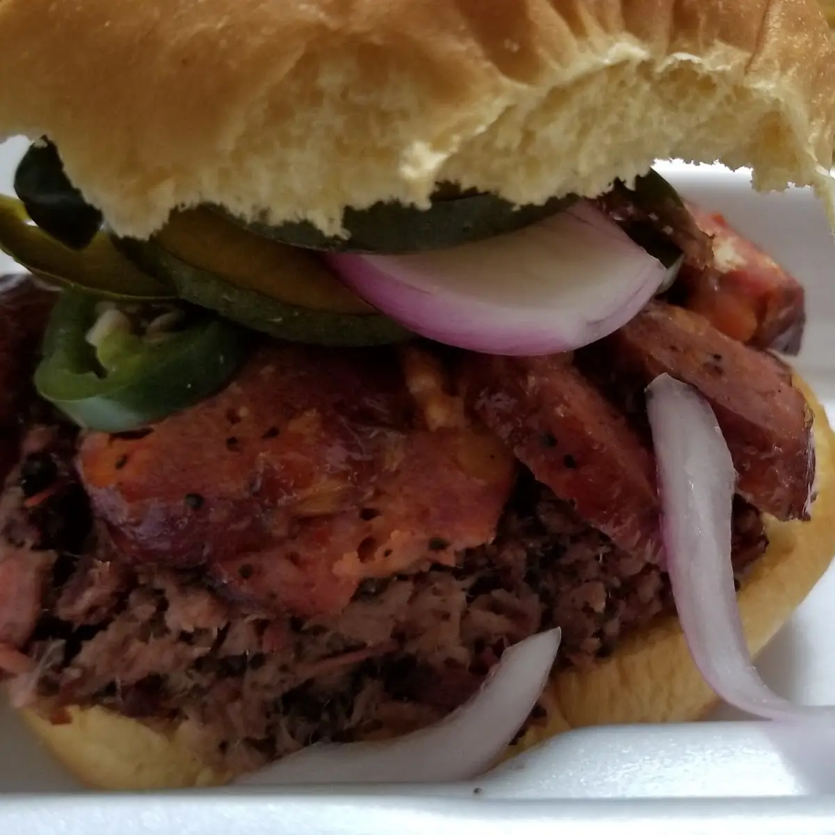 Shakinator Ghost Brisket Sandwich