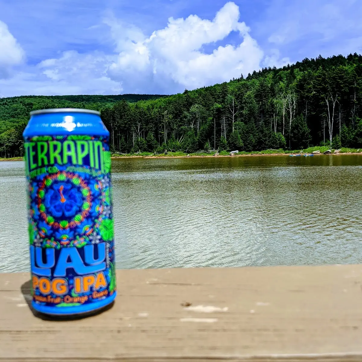 Terrapin Luau Passion Fruit Orange Guava IPA