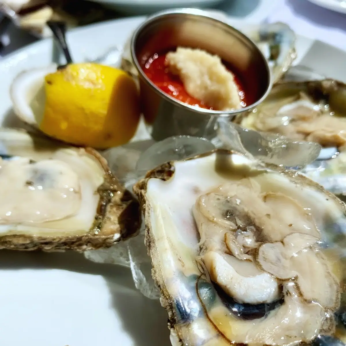 1 DZ Oyster on the Half Shell