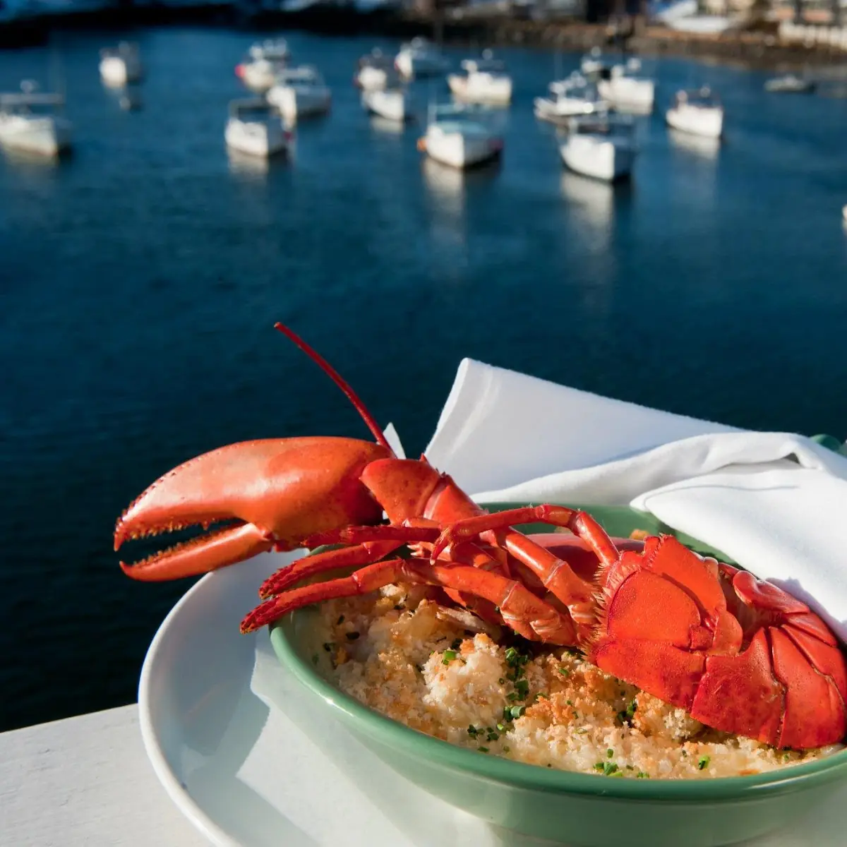 Steamed Whole Maine Lobster