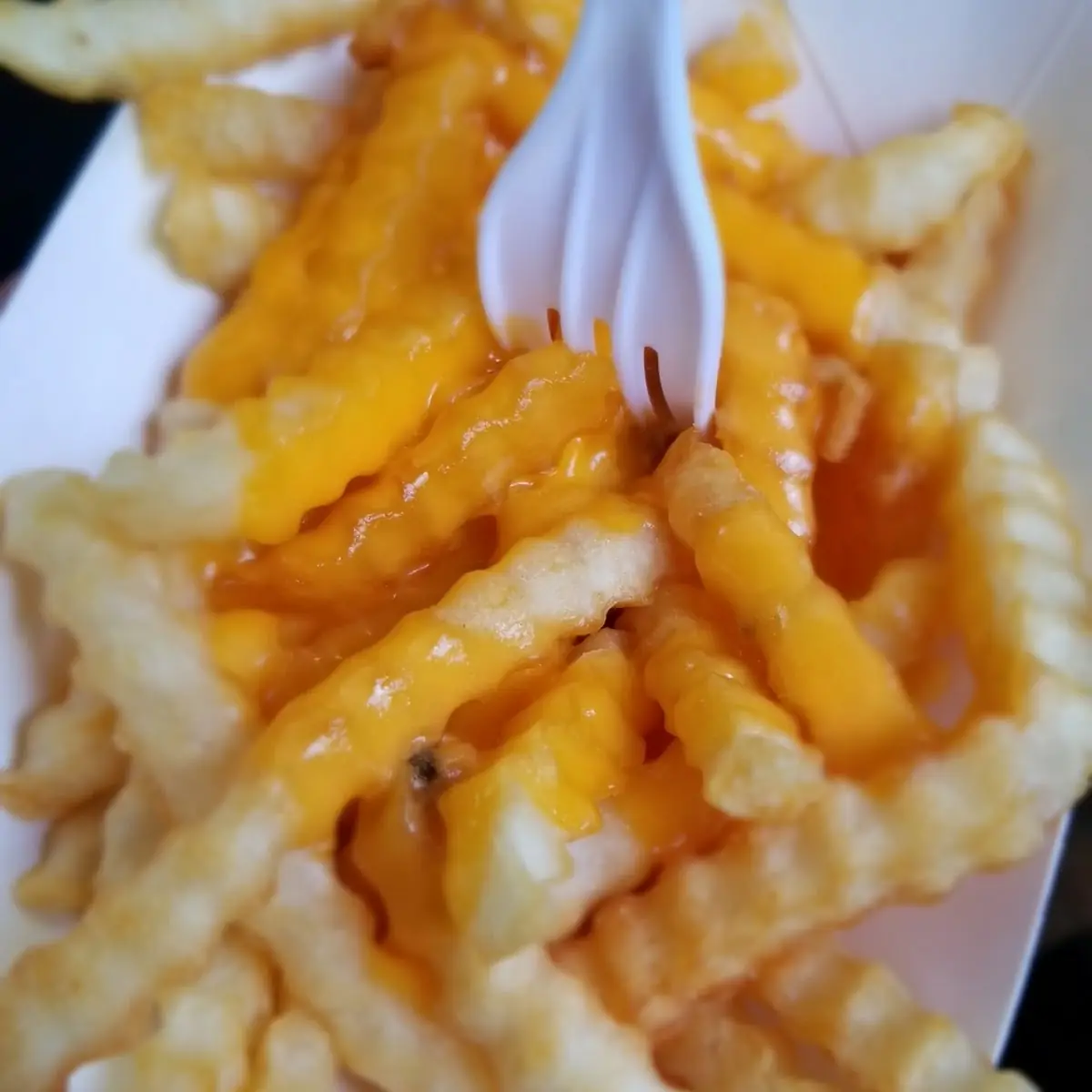 Cheese Fries