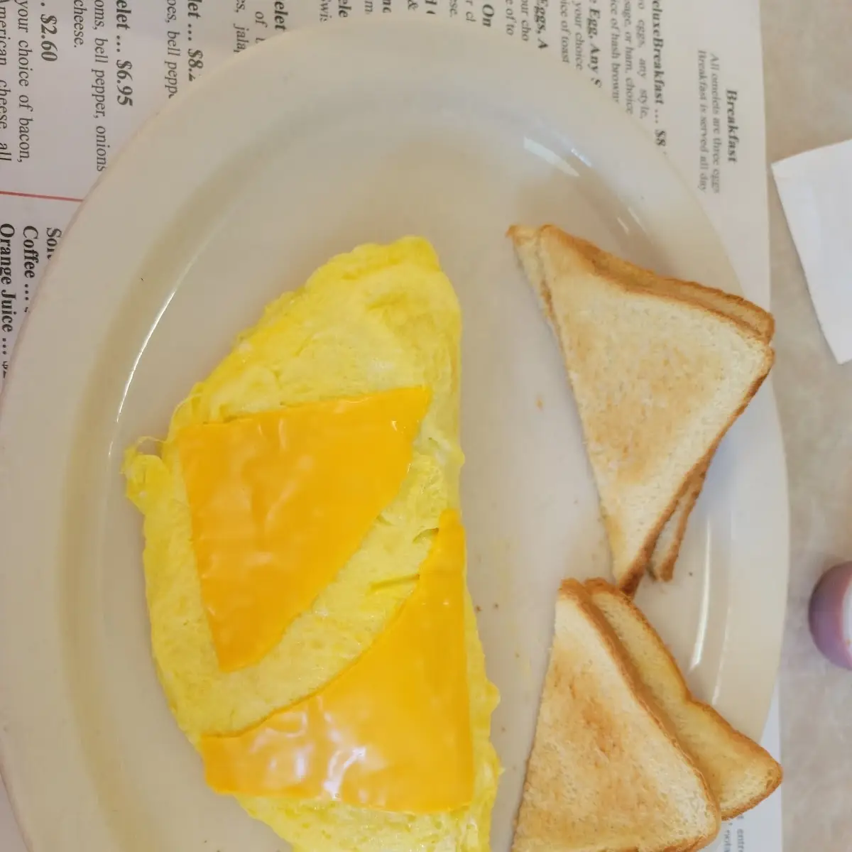 Western Omelette