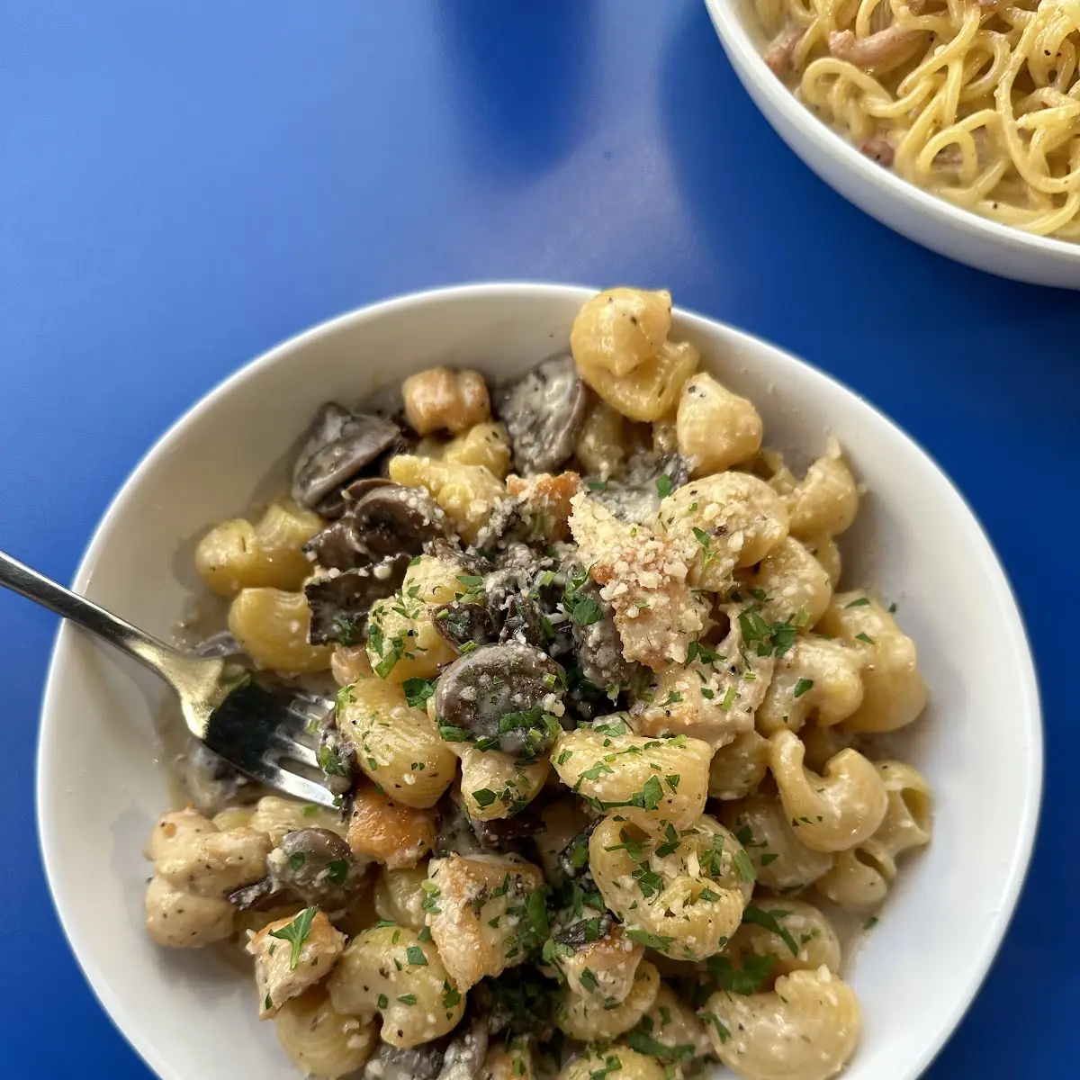 Lumache Marsala Chicken & Mushroom