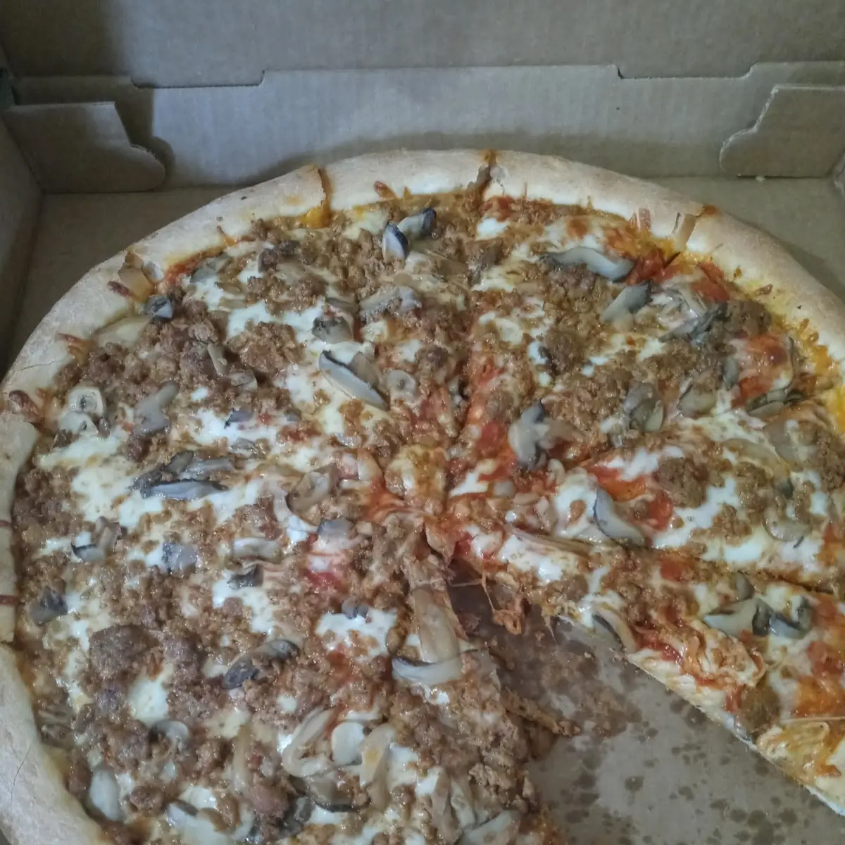 Large Sausage and Mushroom Pizza