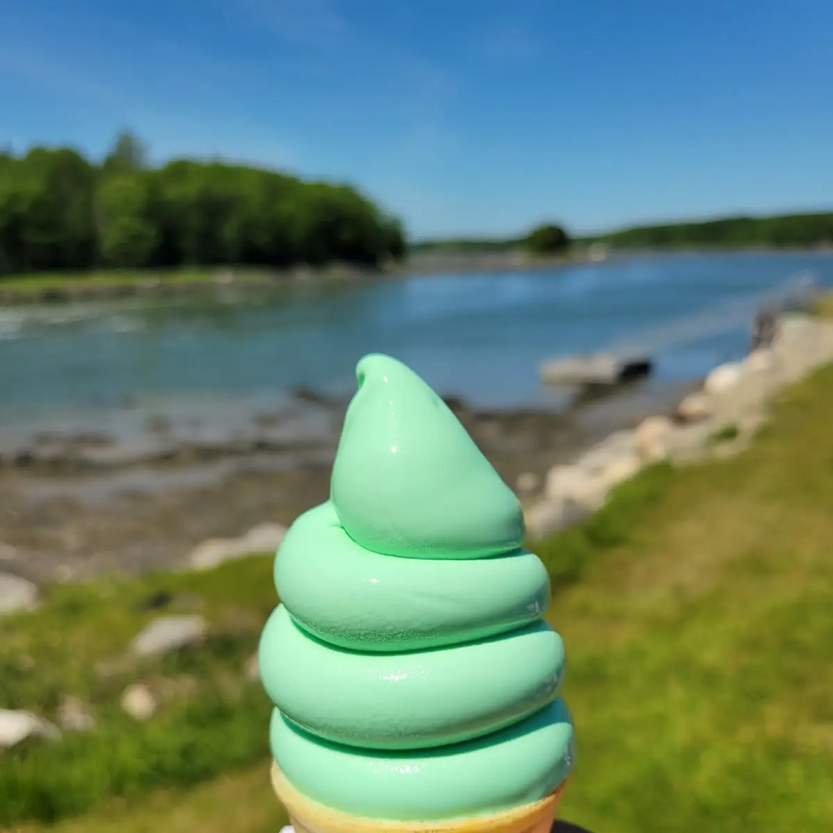Pistachio Soft Serve