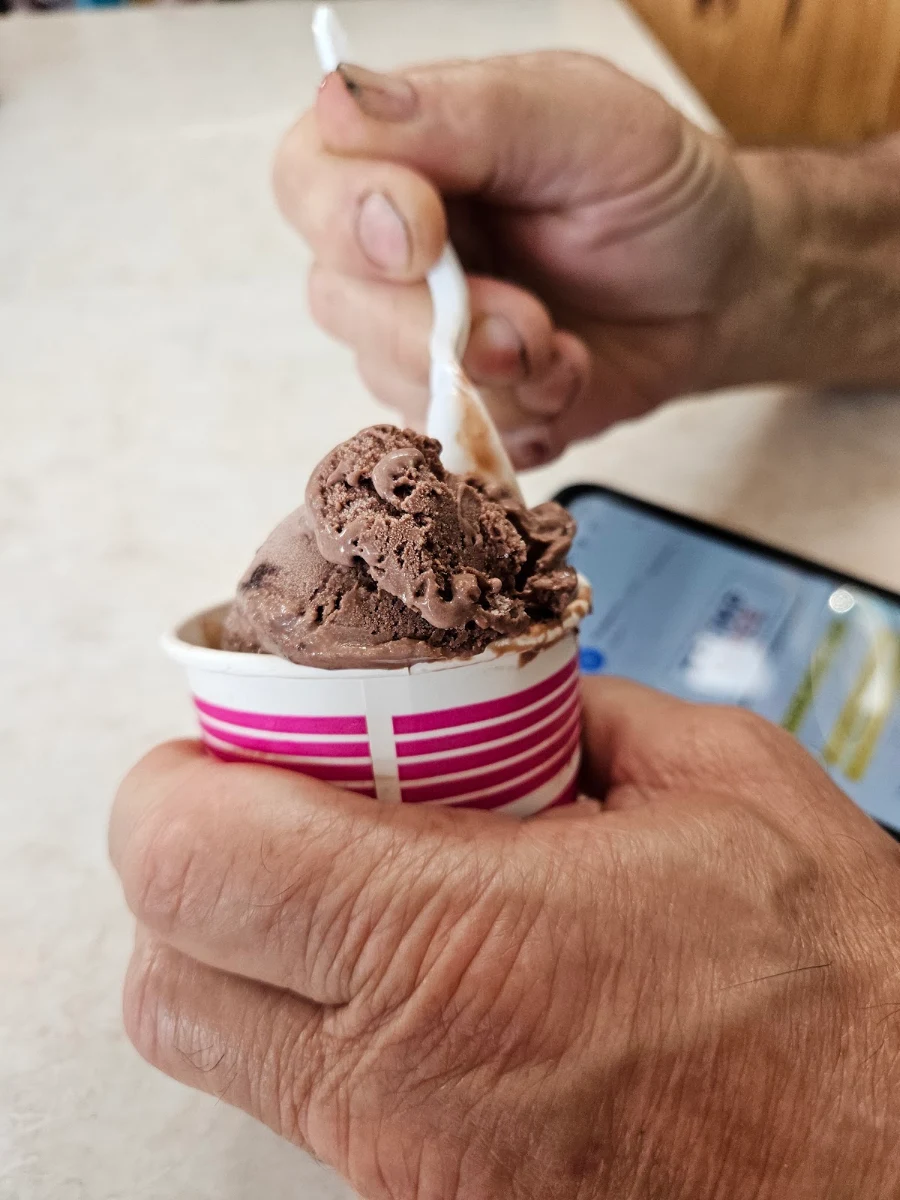 Chocolate Ice Cream