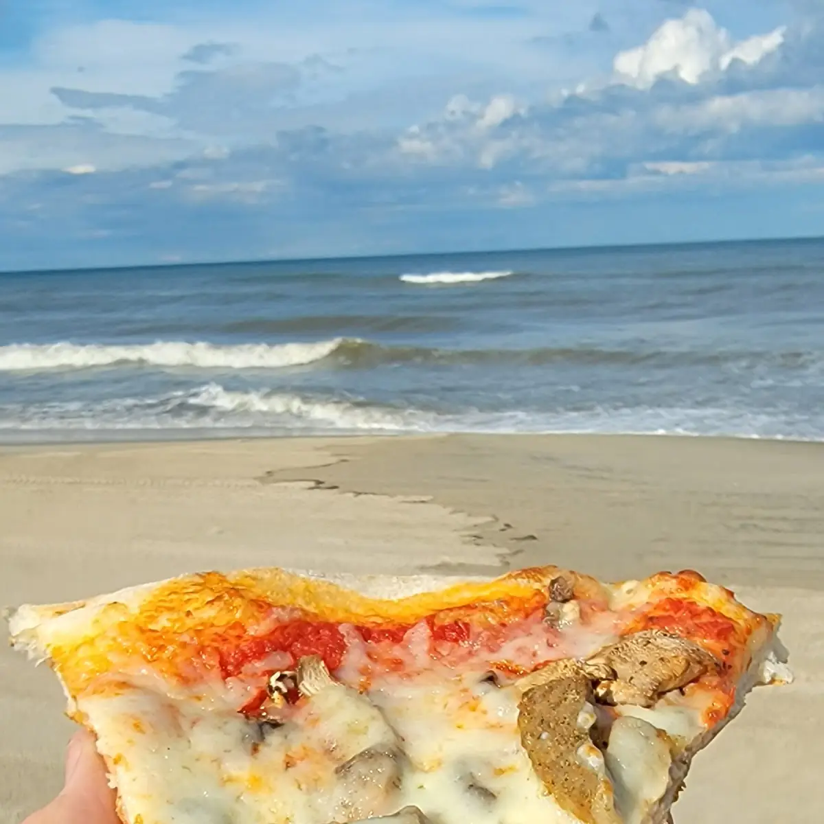Slice of Pizza