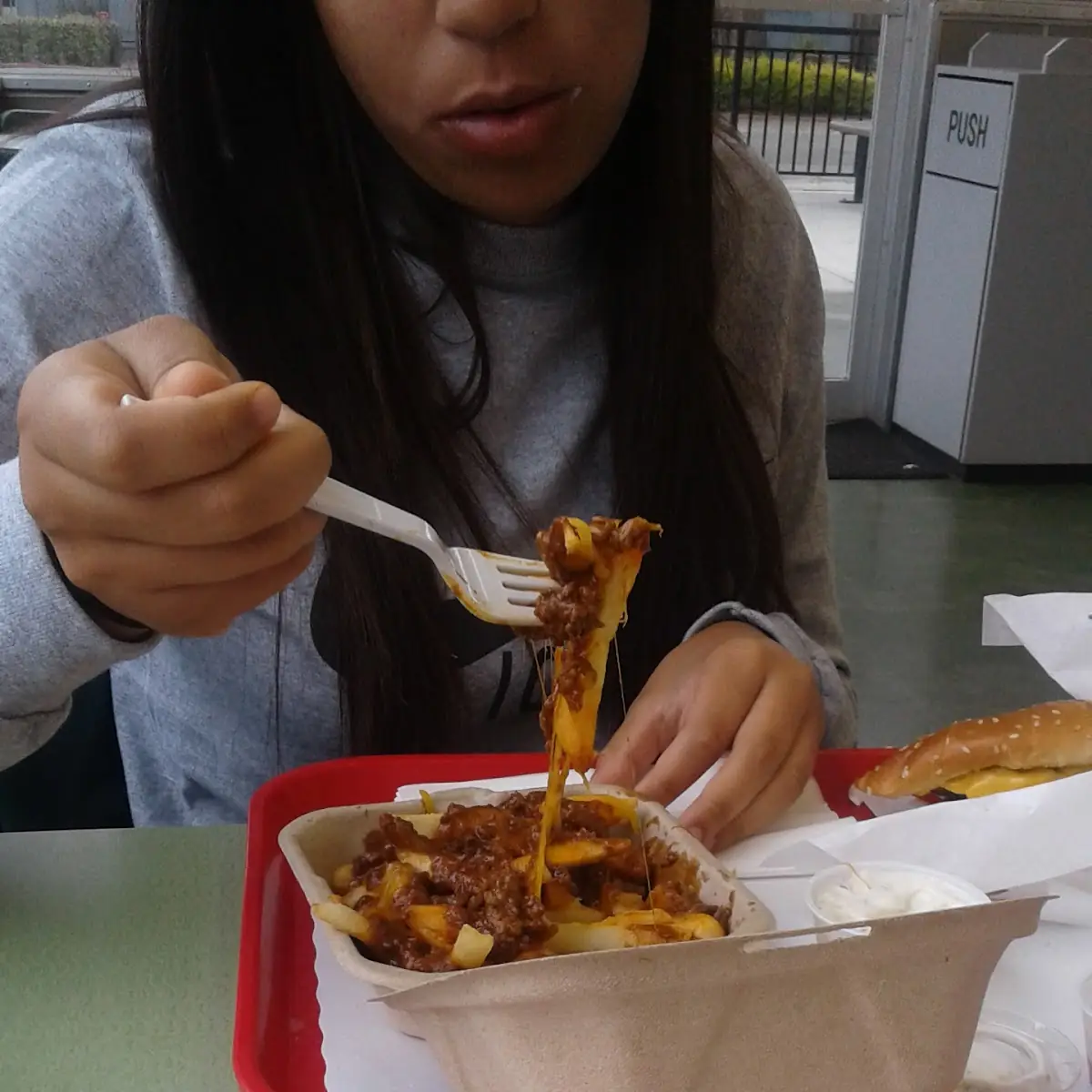 Chili Cheese Dog