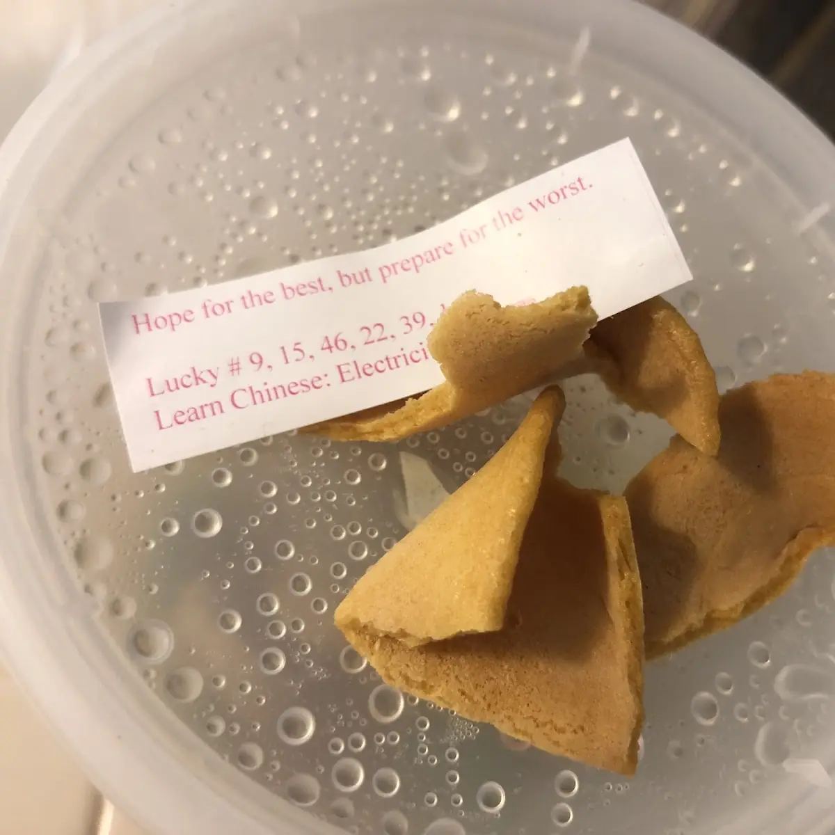 Fortune Cookie