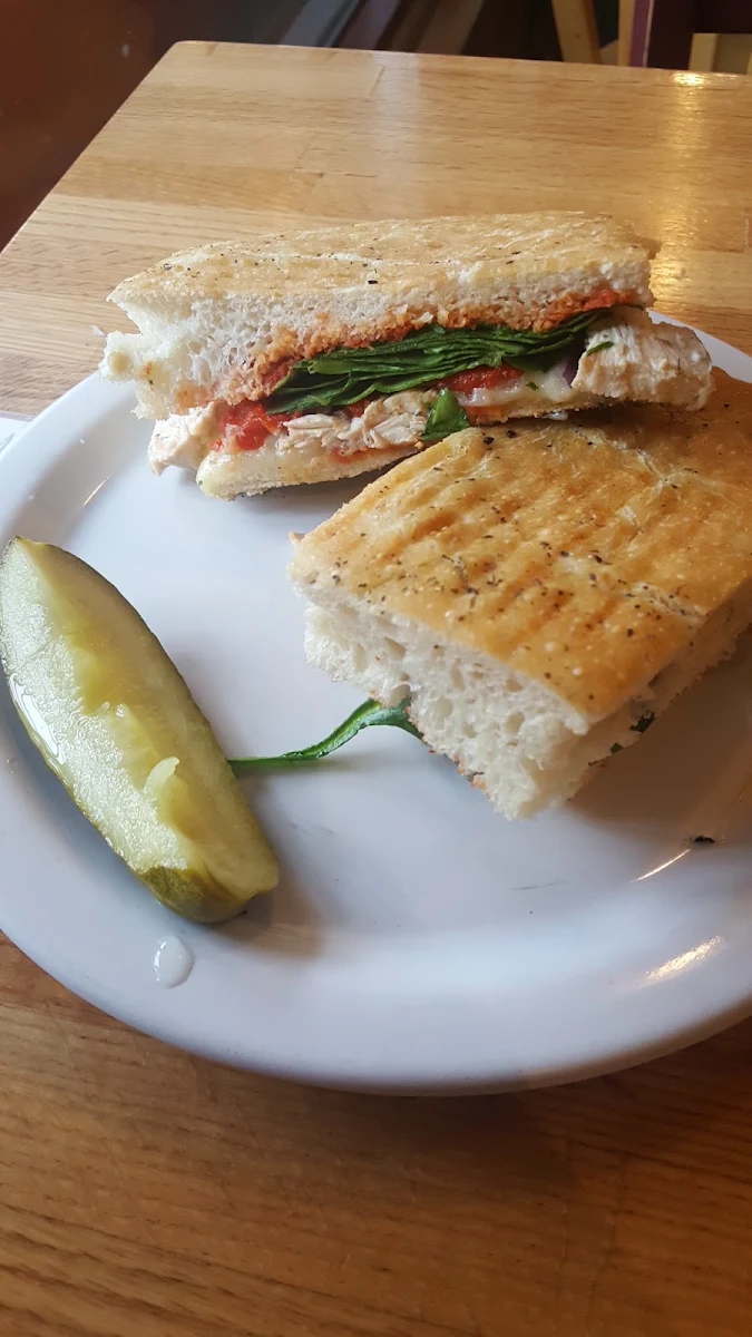 Roasted Chicken and Red Pepper Panini