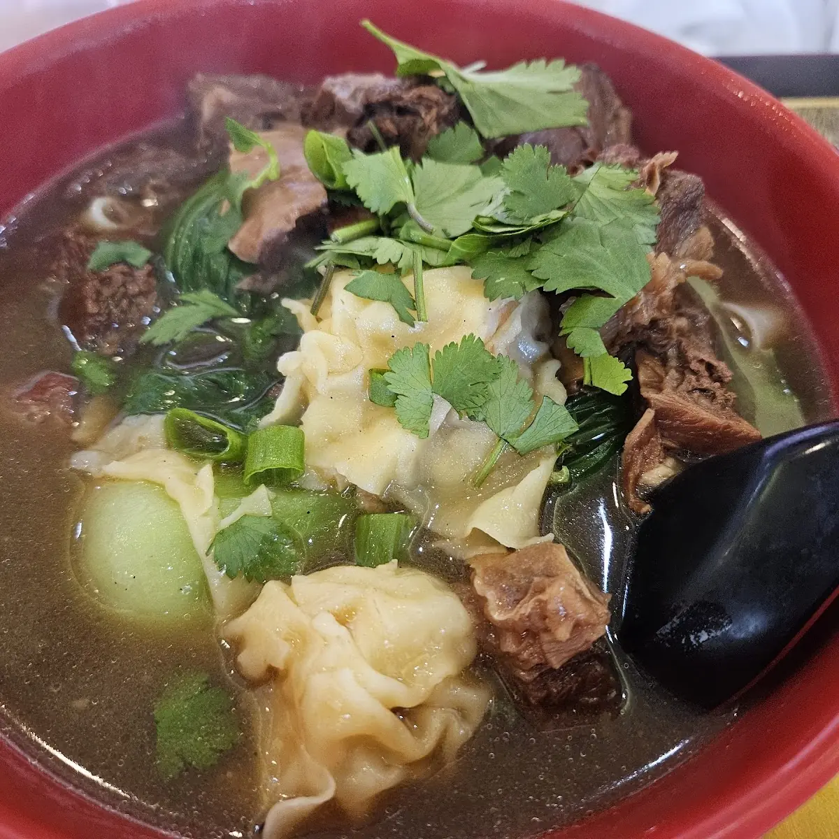 Beef Stew & Wonton Noodle Soup