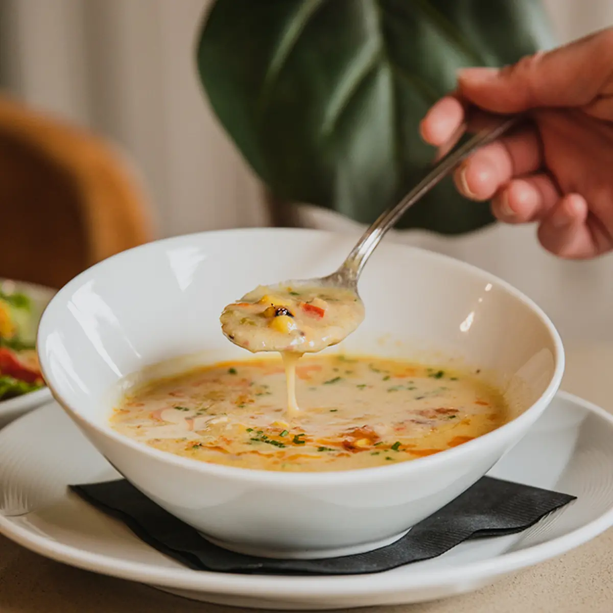 Soup & Salad