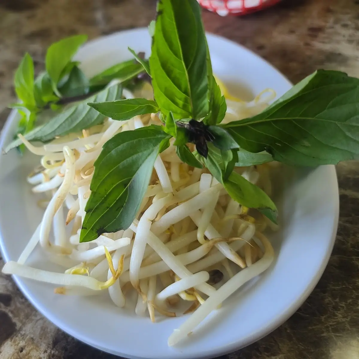 Thai Basil