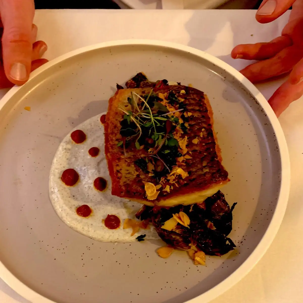 Striped Bass