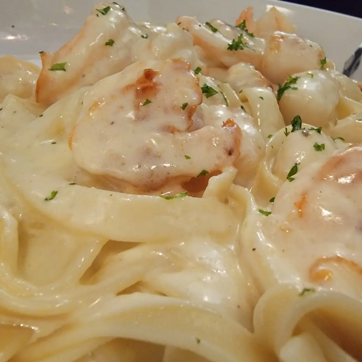 Shrimp Alfredo