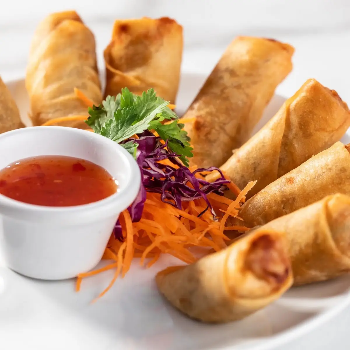 Crispy Spring Roll
