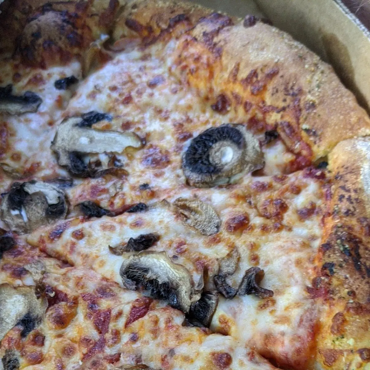 Mushroom Pizza