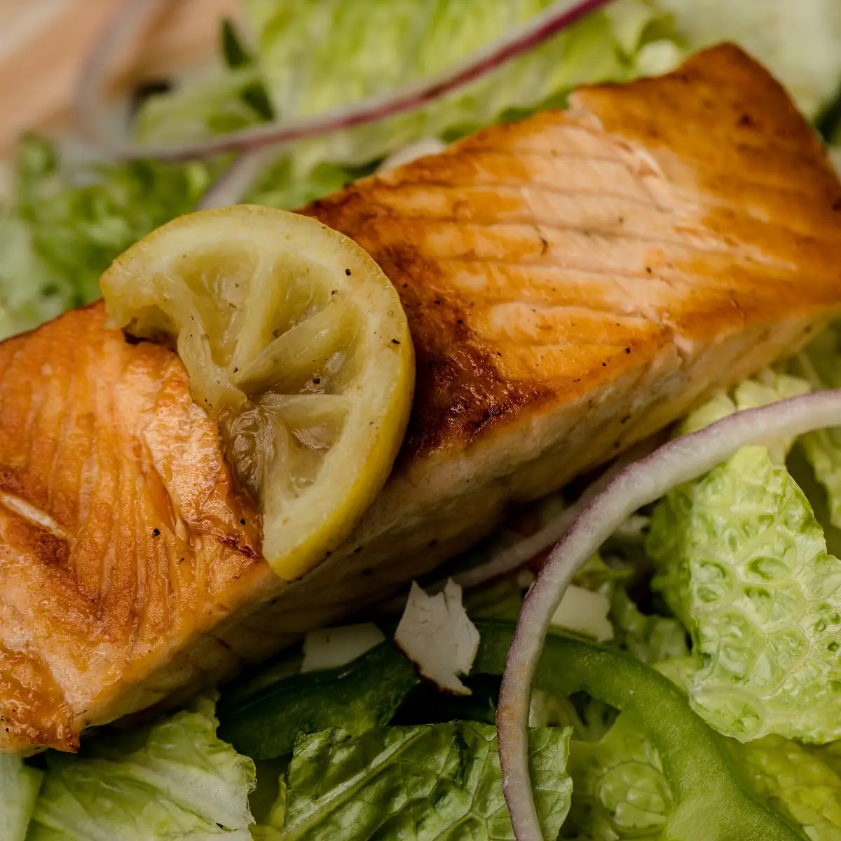 Grilled Salmon Salad