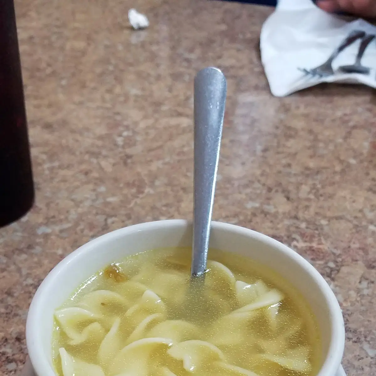 Chicken Noodle Soup
