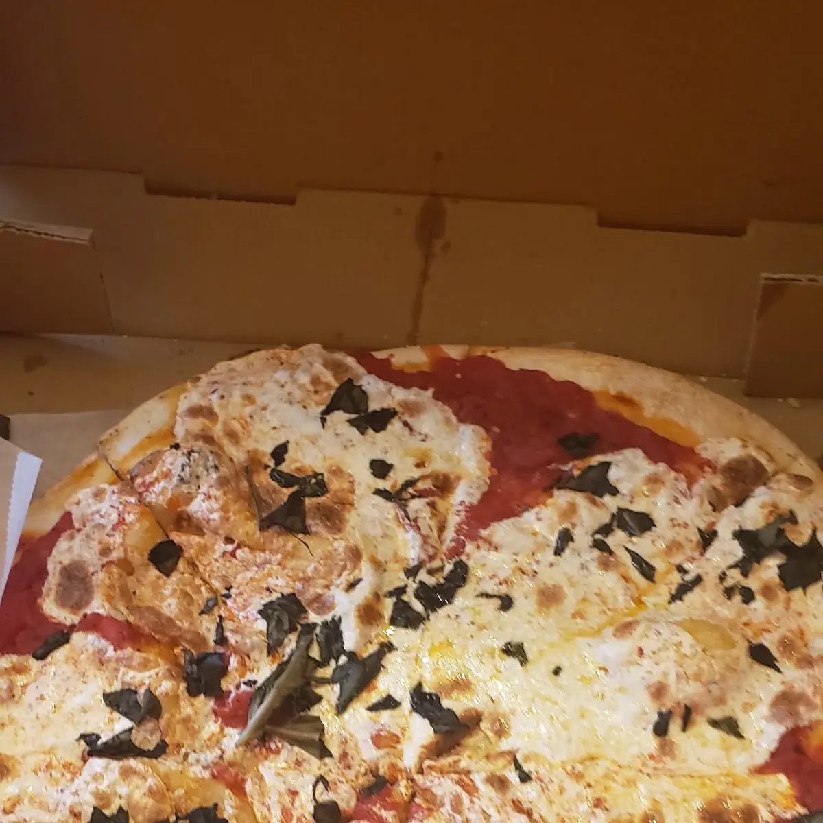 Brick Oven Margherita Pizza