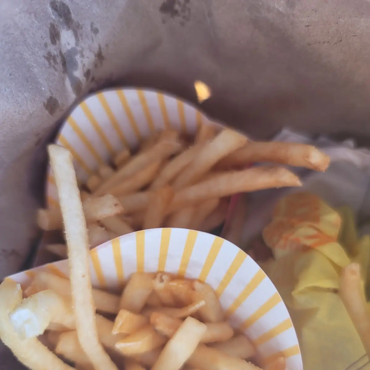 World Famous Fries
