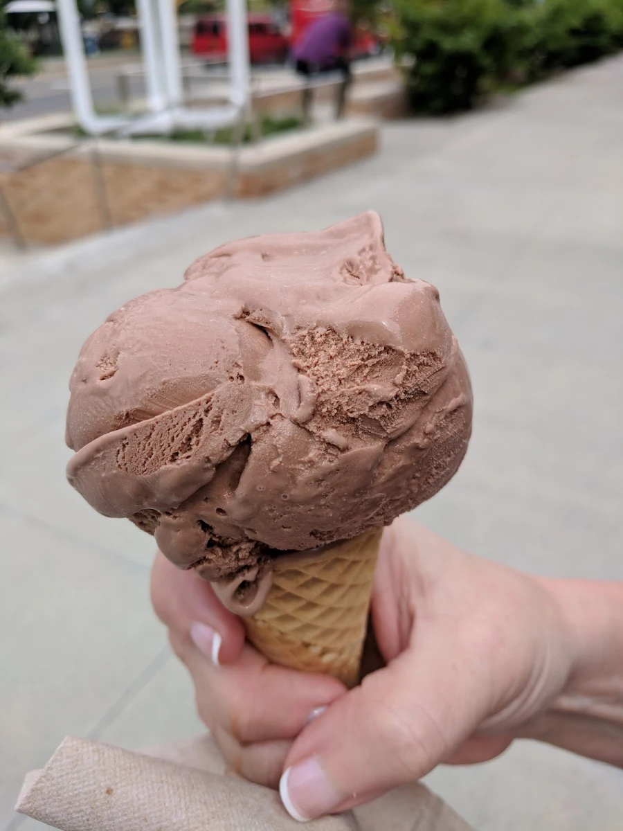 Chocolate Ice Cream in a Sugar Cone Kiddie Size