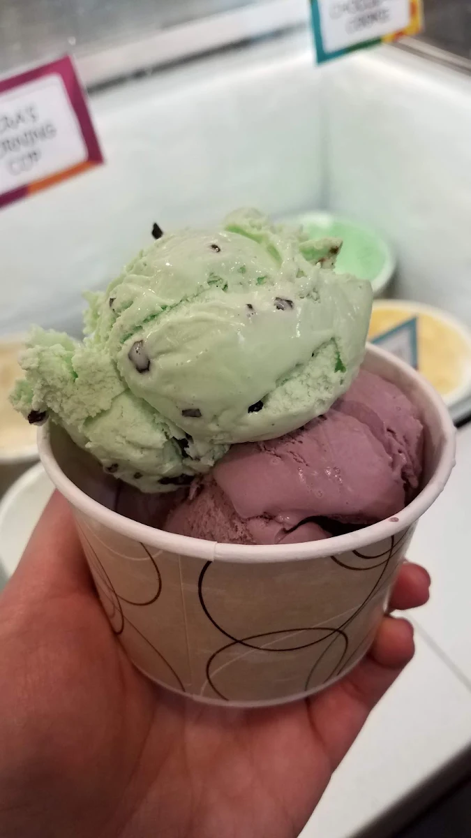 Mint Chocolate Chip