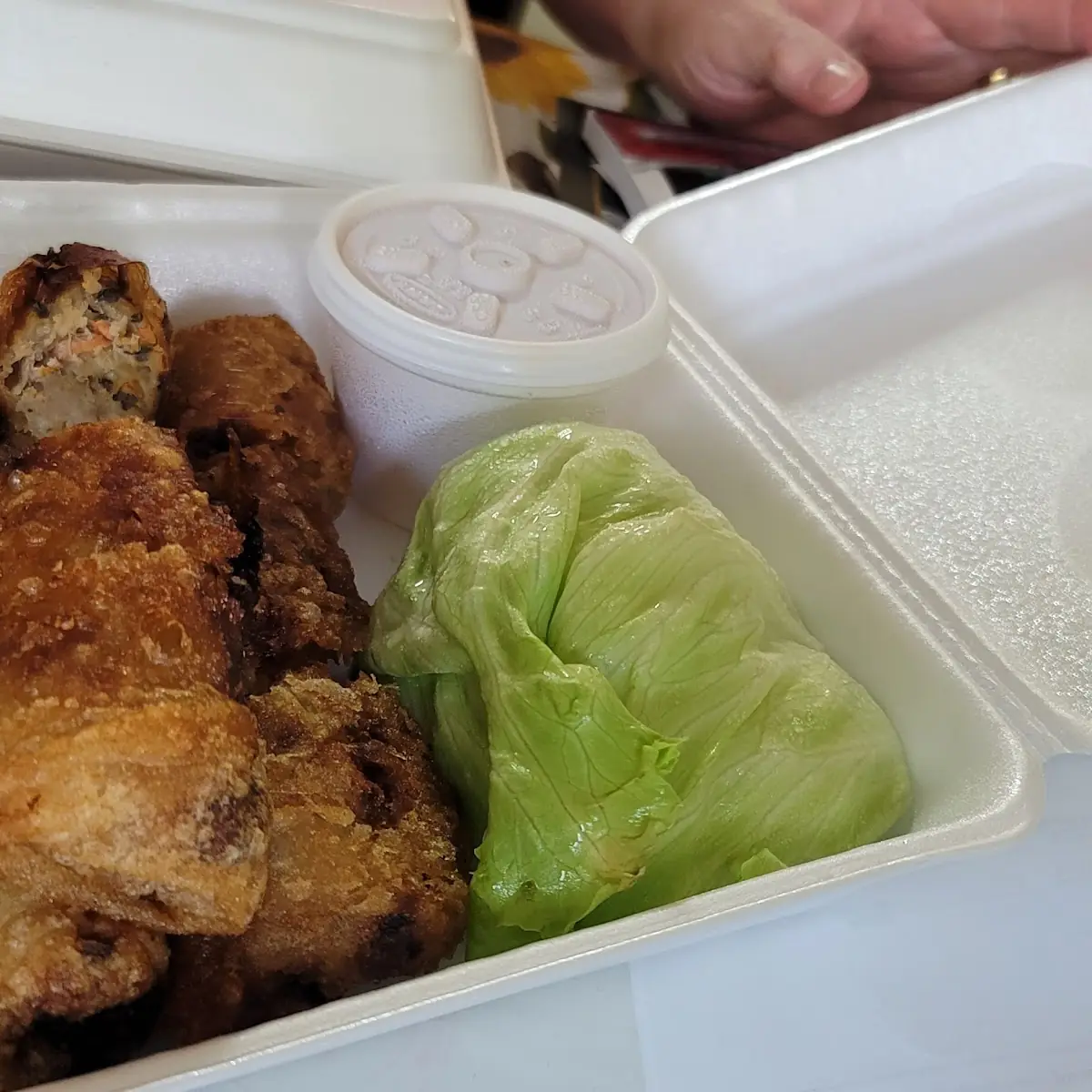 Vietnamese Spring Rolls 3