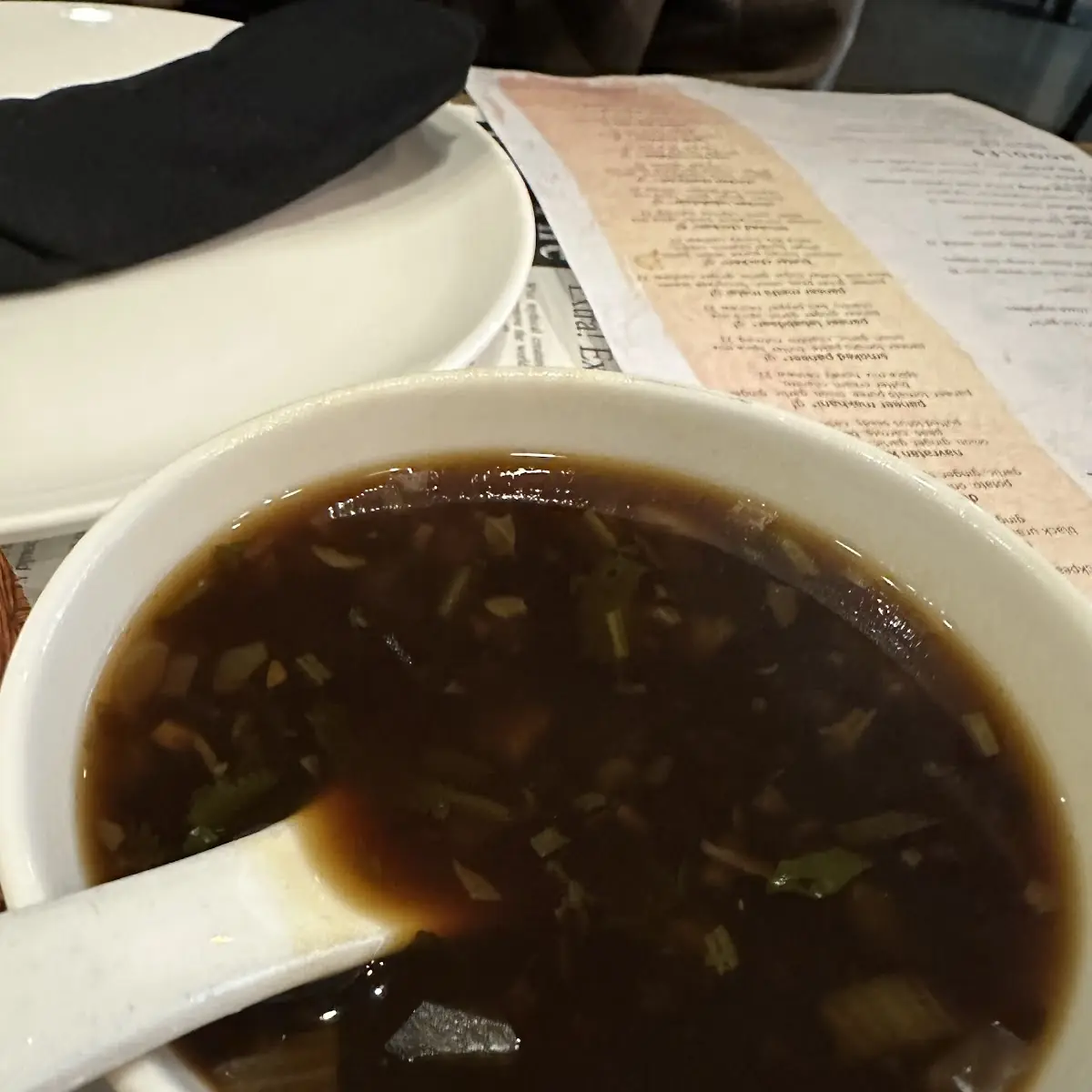 Chicken Hot and Sour Soup