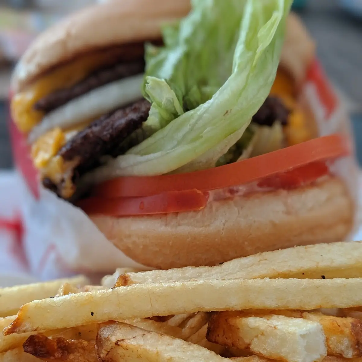 Double Cheeseburger and Fries