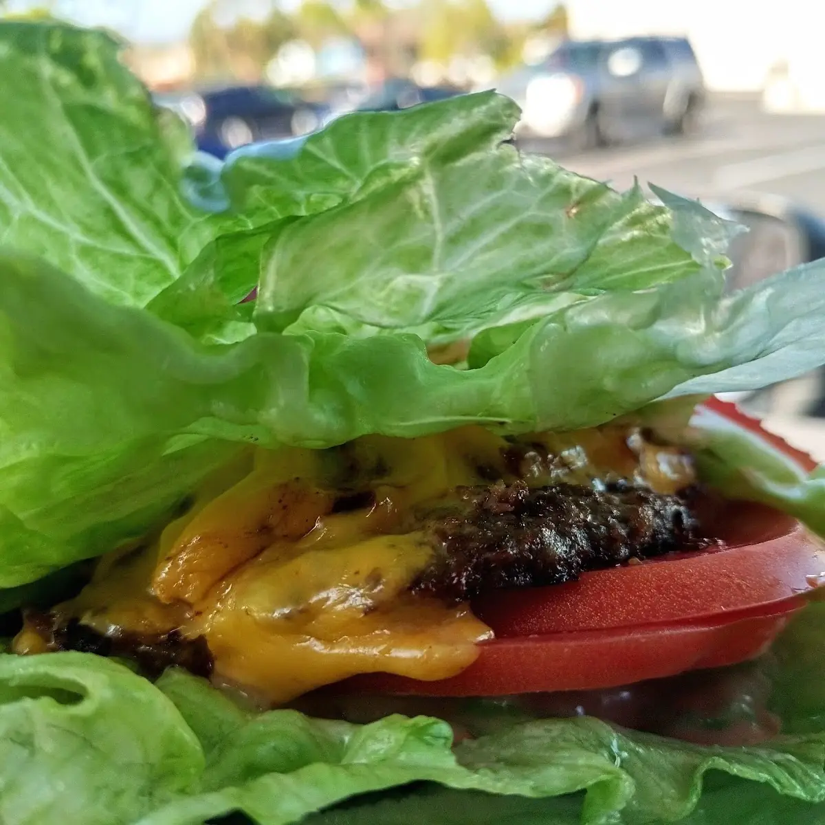 Protein Style Cheeseburger w Grilled Onions