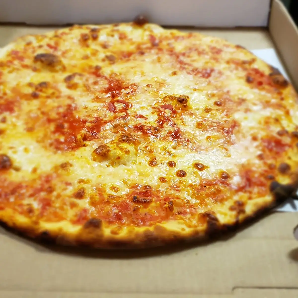 Plain Pizza