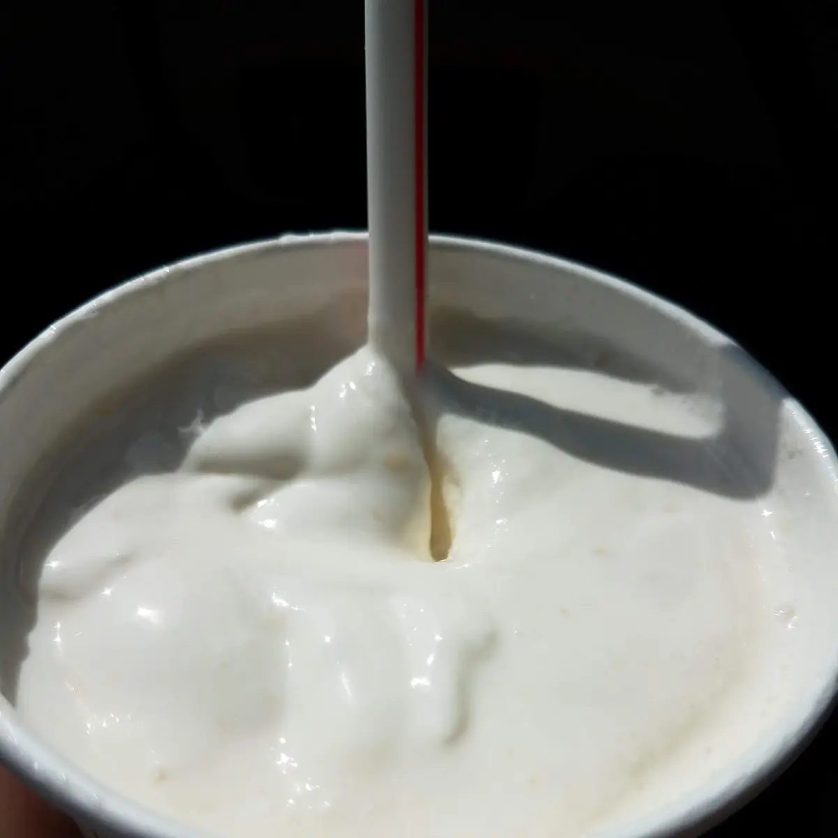 Vanilla Malt Milk Shake